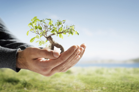 Ostéopathie - thérapie manuelle